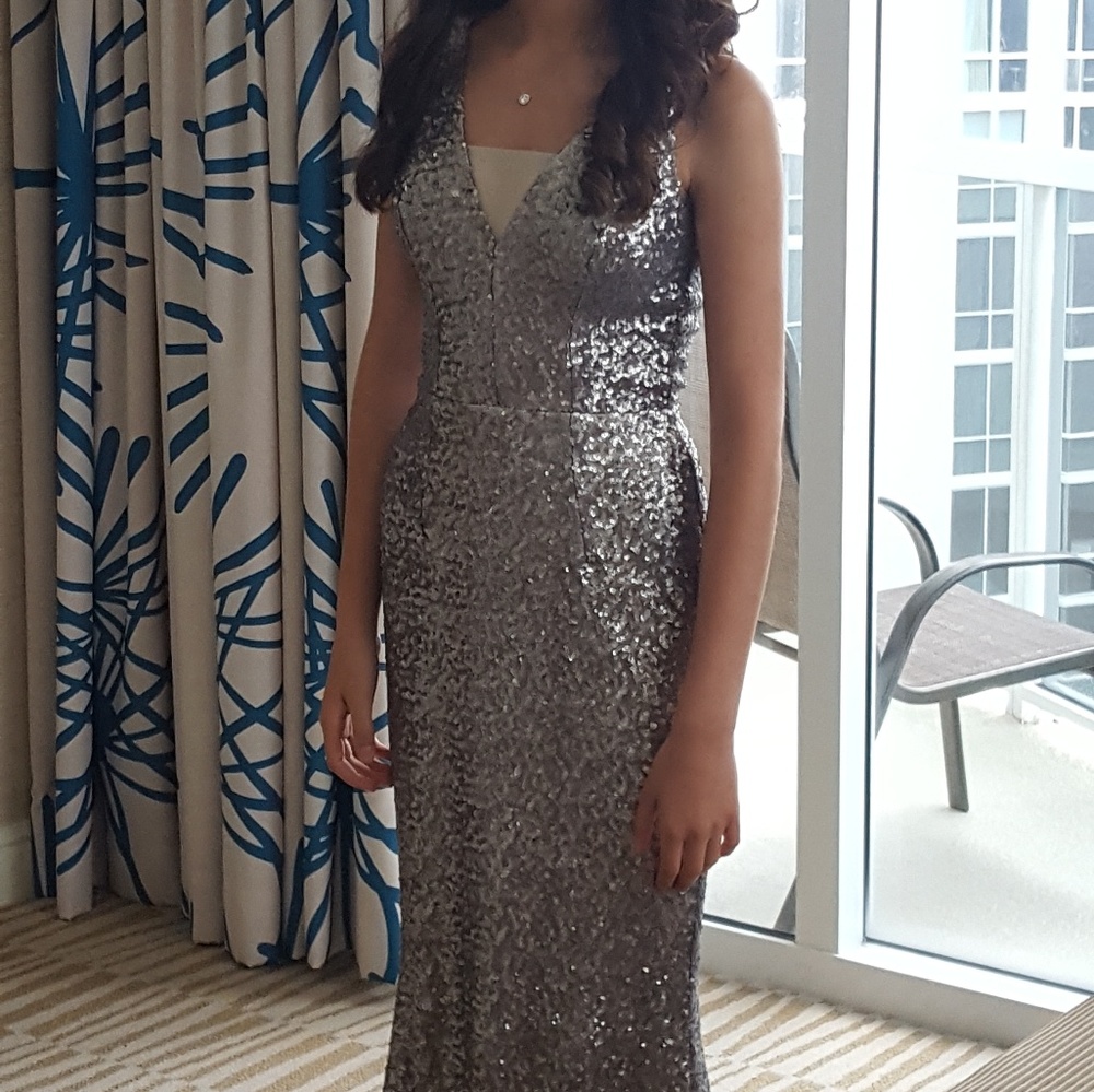Dress the Population Harper Sequin Gown